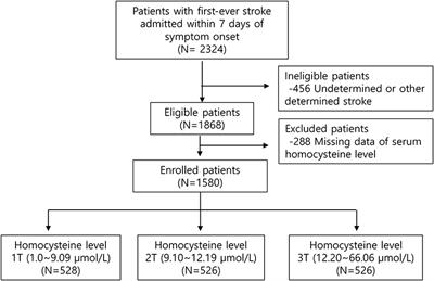 <mark class="highlighted">Serum Homocysteine</mark> Is Associated With HDL Only in Stroke Patients With Small Vessel Occlusion